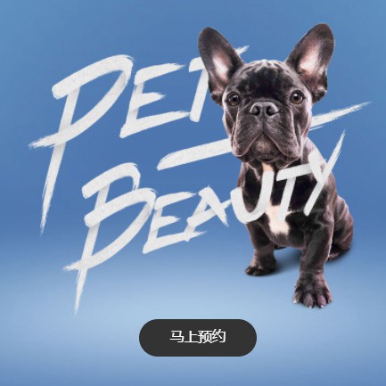 南坤镇宠物中心小程序开发